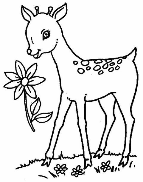 Deers-coloring-page-6