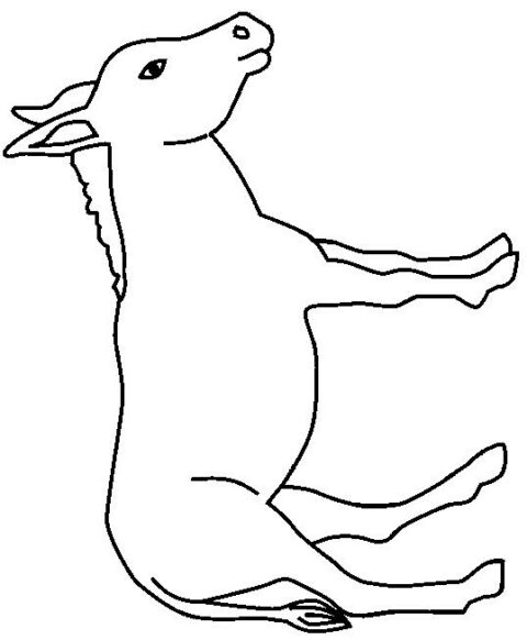 Donkeys-coloring-page-11