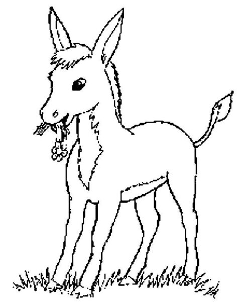 Donkeys-coloring-page-6