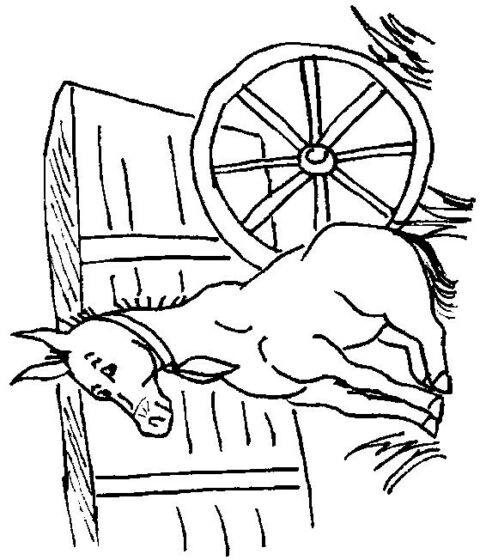 Donkeys-coloring-page-7