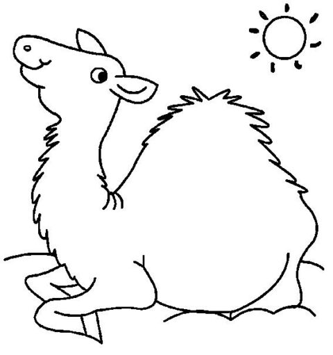 Dromedary-coloring-page-4