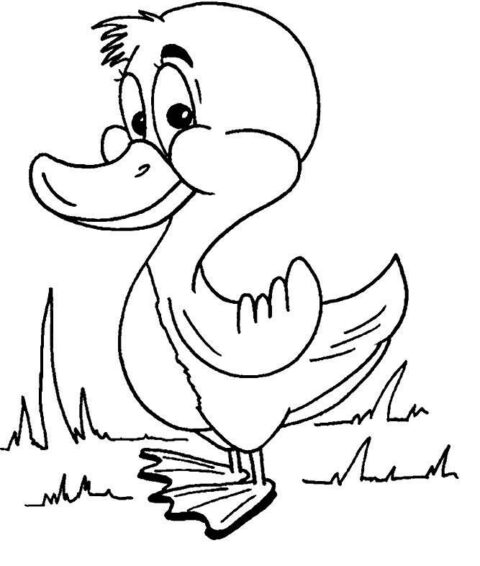 Ducks-coloring-page-16
