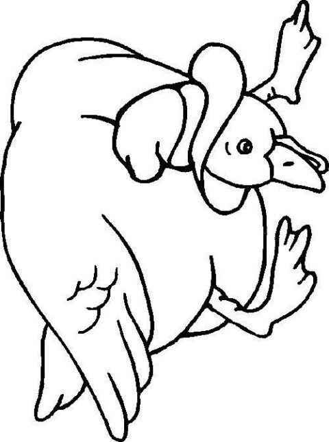 Ducks-coloring-page-5