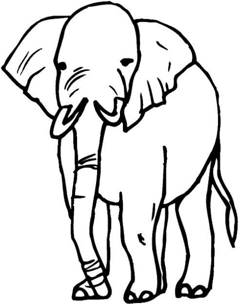 Elephants-coloring-page-21