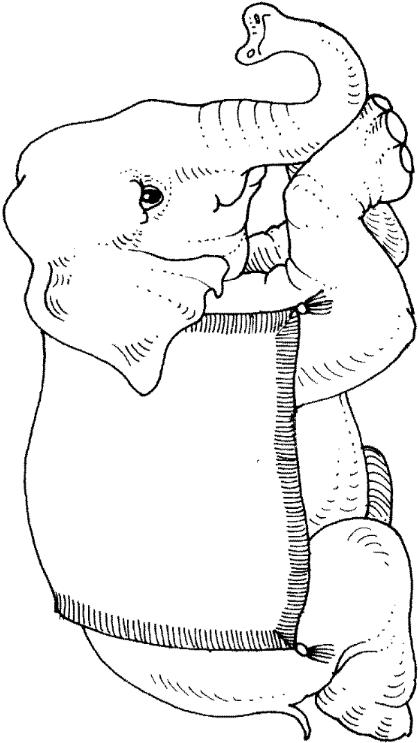 Elephants-coloring-page-35