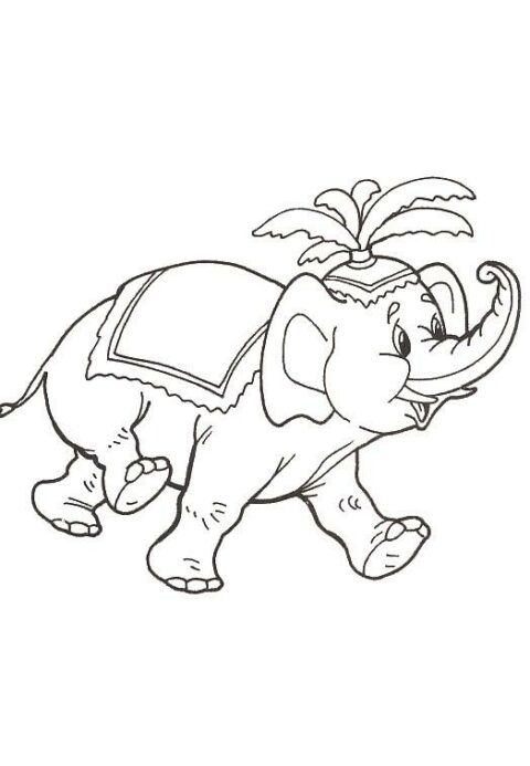 Elephants-coloring-page-43