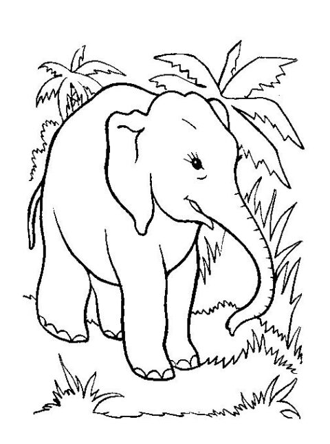 Elephants-coloring-page-8