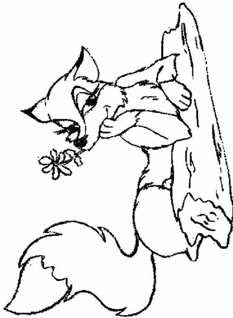Foxes-coloring-page-12