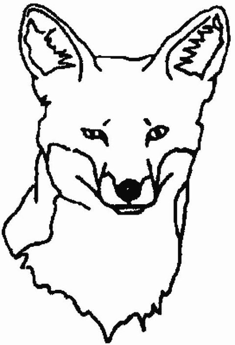 Foxes-coloring-page-14