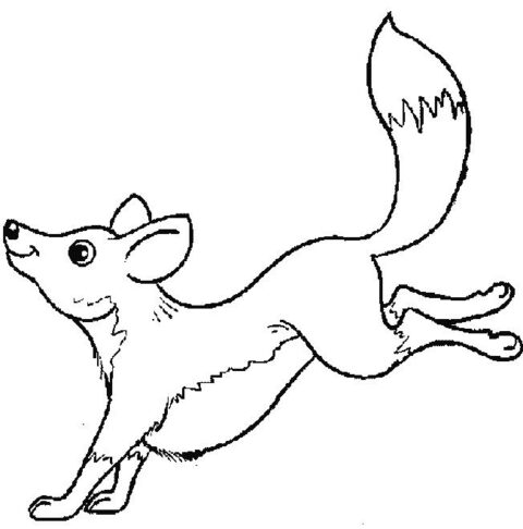 Foxes-coloring-page-16