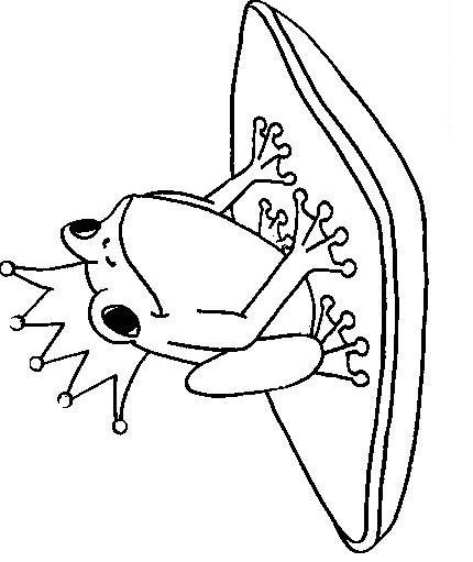 Frogs-coloring-book-57