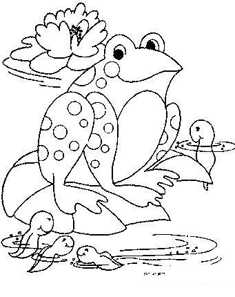 Frogs-coloring-book-84