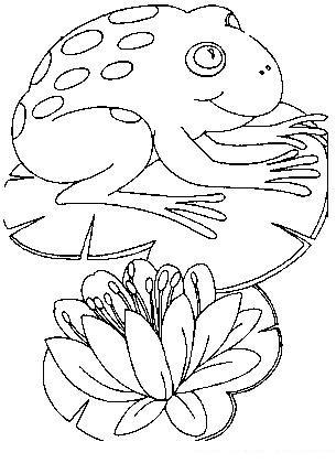Frogs-coloring-book-89