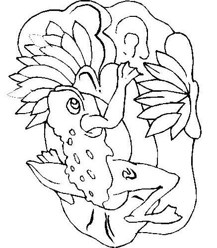 Frogs-coloring-book-93