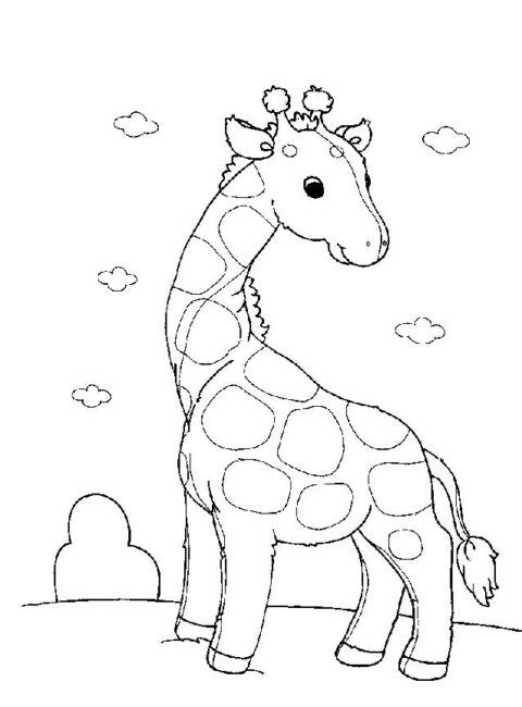 Giraffes-coloring-page-13
