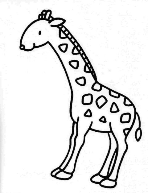 Giraffes-coloring-page-17