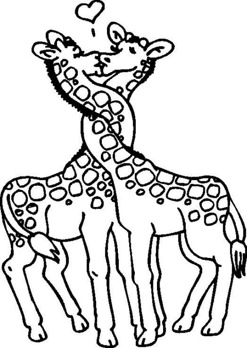 Giraffes-coloring-page-18