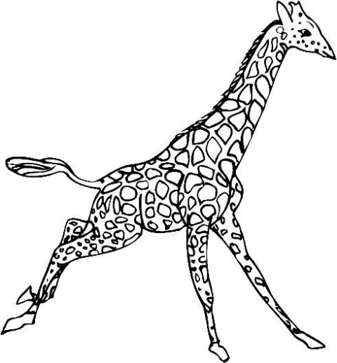 Giraffes-coloring-page-20