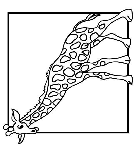 Giraffes-coloring-page-25