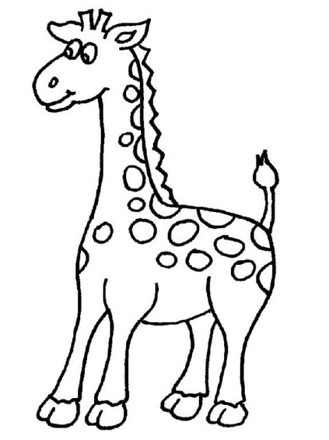 Giraffes-coloring-page-27