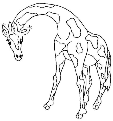 Giraffes-coloring-page-5