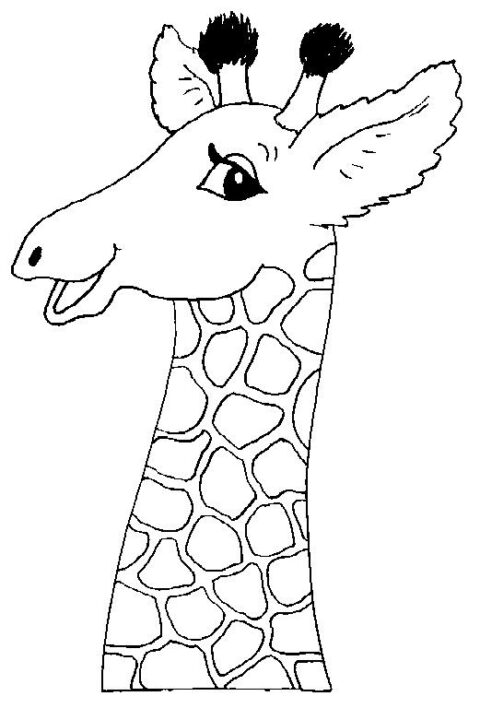 Giraffes-coloring-page-8