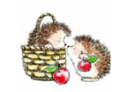 hedgehog coloring for kids