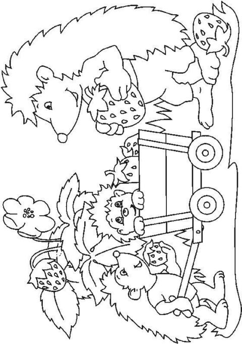 Hedgehogs-coloring-pages-1