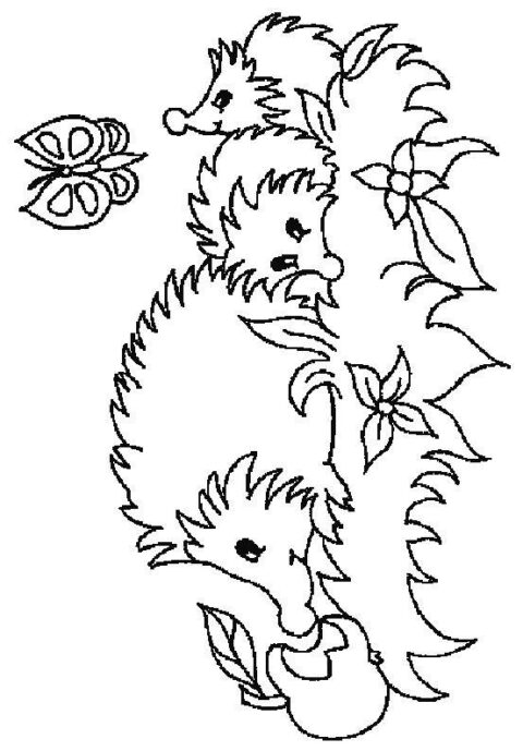 Hedgehogs-coloring-pages-12