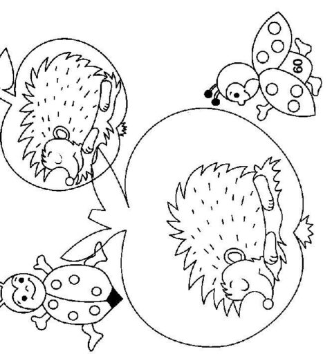 Hedgehogs-coloring-pages-14