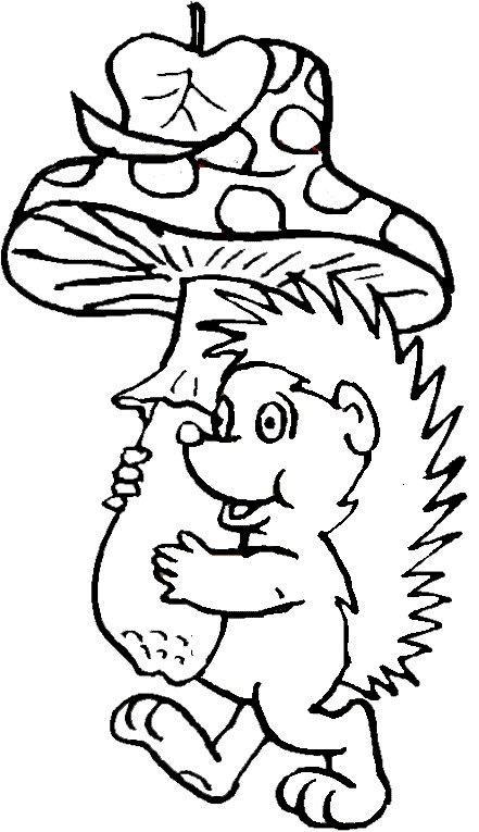 Hedgehogs-coloring-pages-16