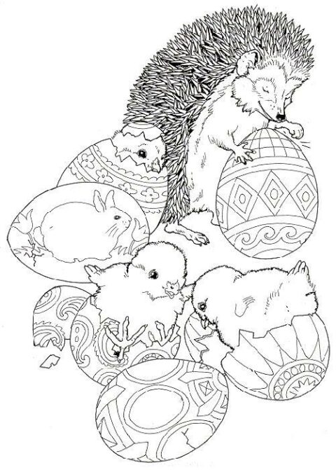 Hedgehogs-coloring-pages-18