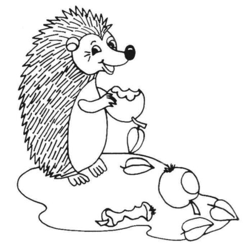 Hedgehogs-coloring-pages-20