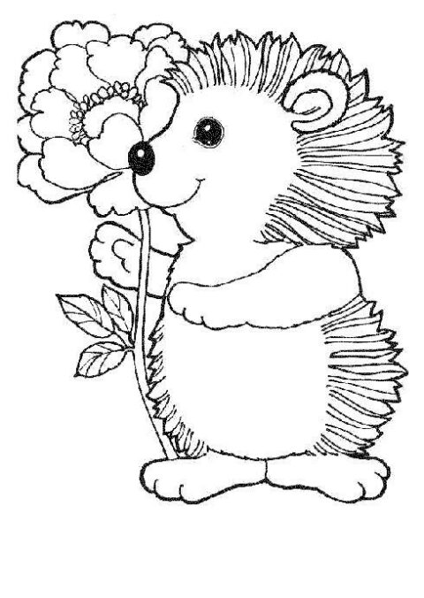 Hedgehogs-coloring-pages-21