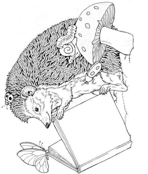 Hedgehogs-coloring-pages-23