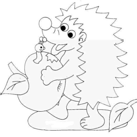 Hedgehogs-coloring-pages-32