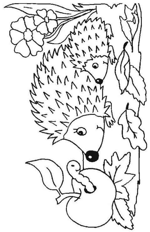 Hedgehogs-coloring-pages-33