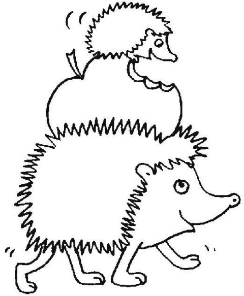 Hedgehogs-coloring-pages-5