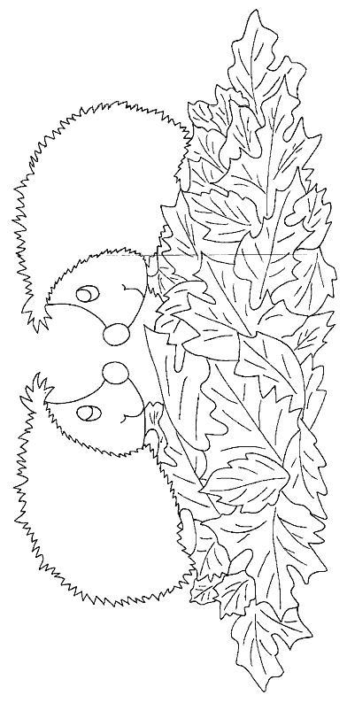 Hedgehogs-coloring-pages-6