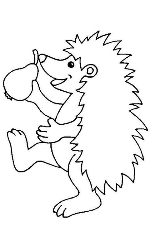 Hedgehogs-coloring-pages-7
