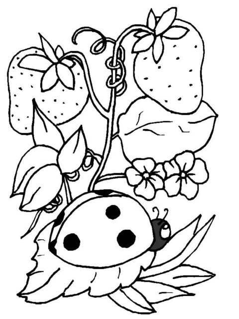 Insects-coloring-page-20