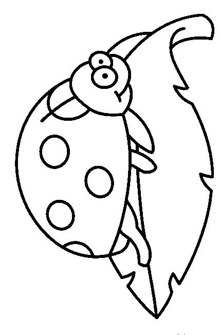 Insects-coloring-page-23