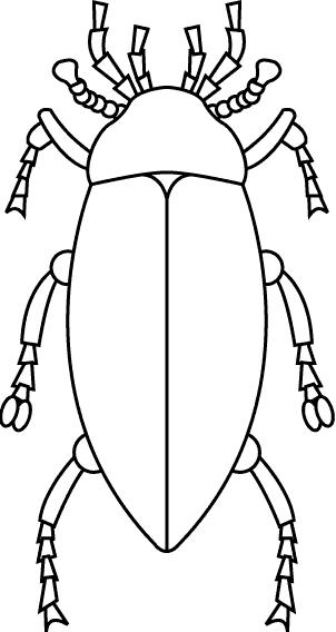 Insects-coloring-page-25