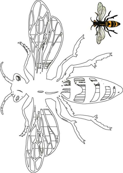 Insects-coloring-page-3