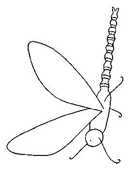 Insects-coloring-page-44