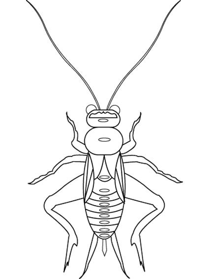 Insects-coloring-page-67
