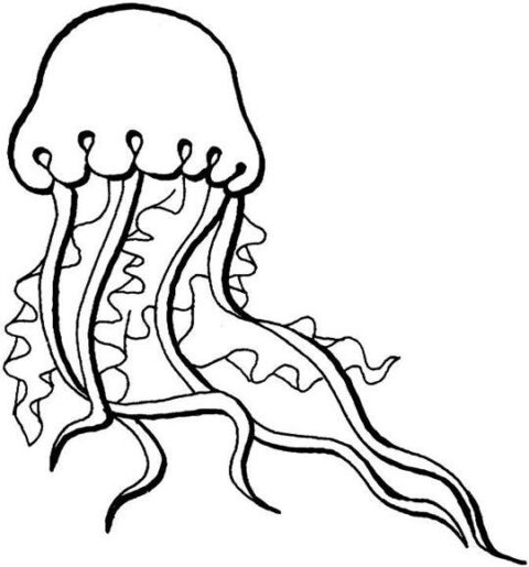 Jellyfish-coloring-page-6