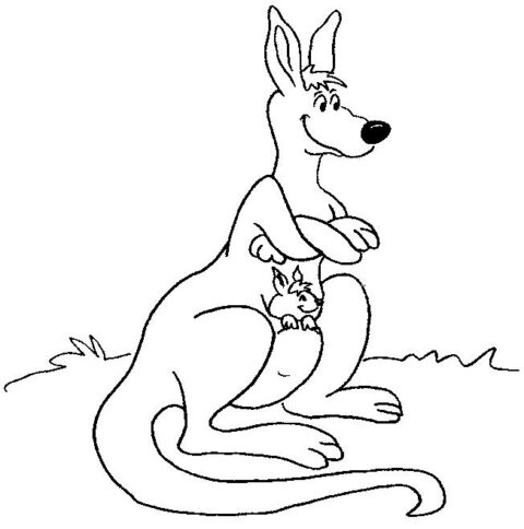 Kangaroos-coloring-page-10