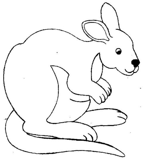 Kangaroos-coloring-page-14