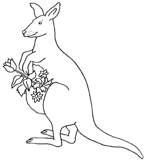 Kangaroos-coloring-page-6